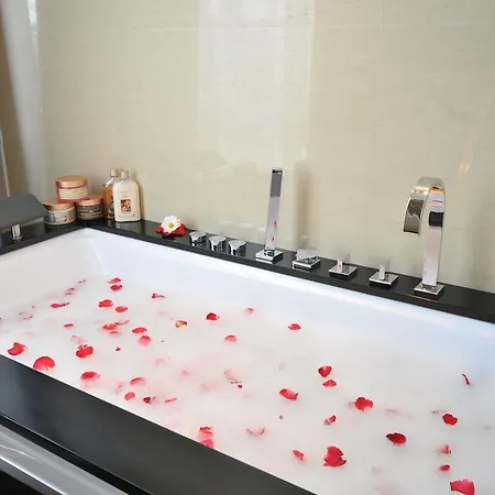 Hotel Hotel Zeder Garni Belgrade