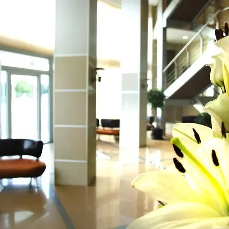 Hotel Hotel Zeder Garni Belgrade